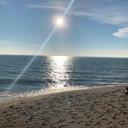 Apparent On The Main Street Varna